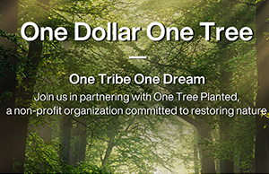 ���ǣ���ע���α��������е�̼����