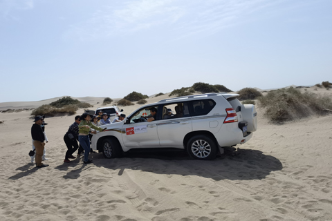 tyc1286̫������(����)���޹�˾