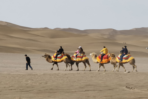 tyc1286̫������(����)���޹�˾